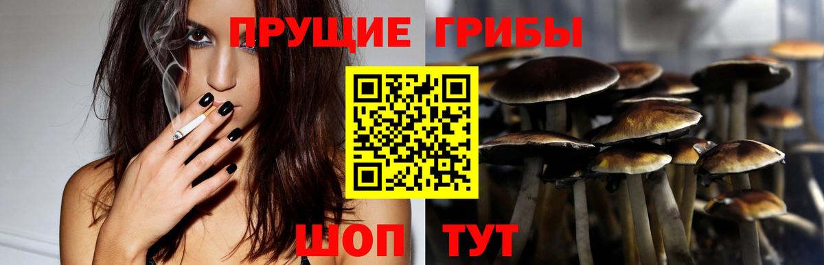 Галлюциногенные грибы Magic Shrooms Камышлов