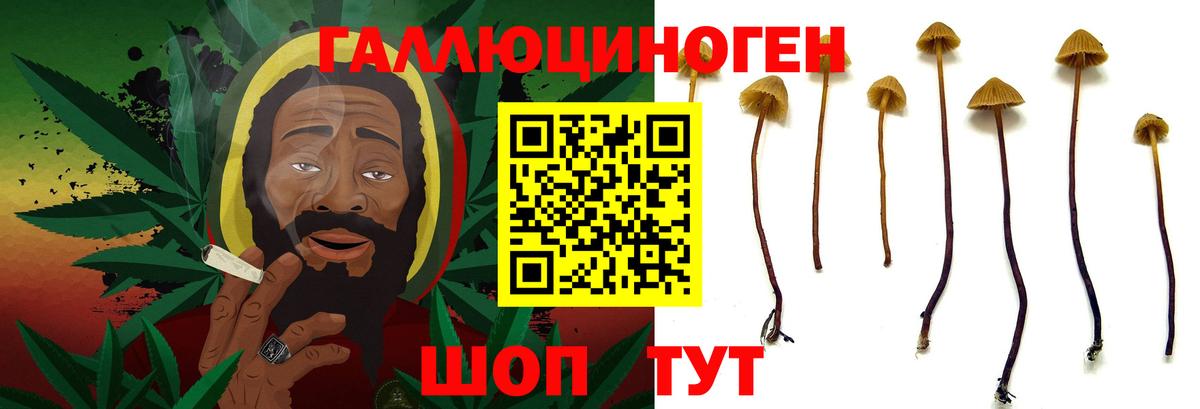 Галлюциногенные грибы GOLDEN TEACHER  Псилоцибиновые грибы мухоморы  Вход с VPN  Камышлов 